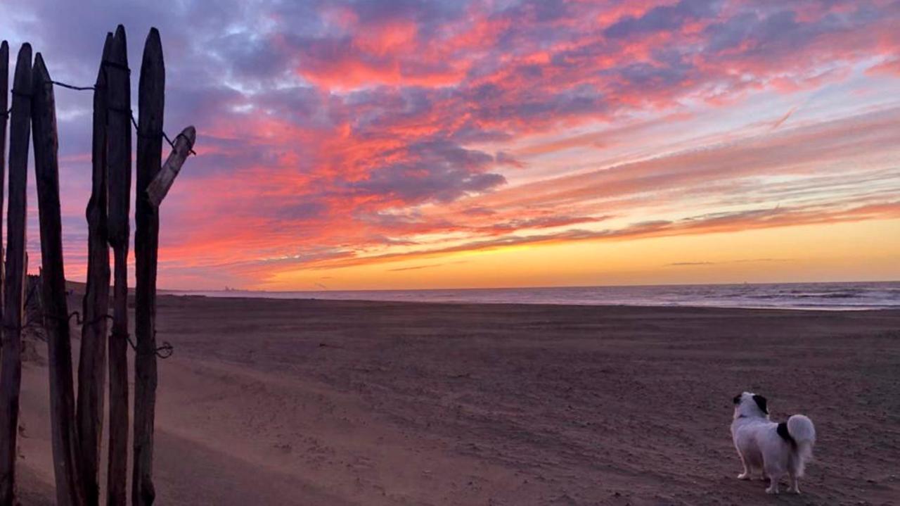 Beach House For You - Luxe Verblijf, 5 Min Van Het Strand Katwijk aan Zee Dış mekan fotoğraf